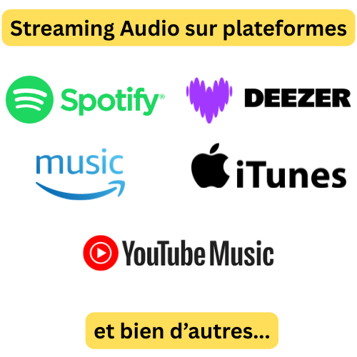 Streaming (spotify, deezer, apple music..) - WaveBeats